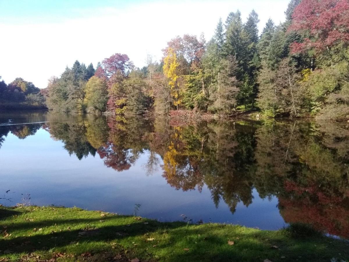 Gite De L'Arboretum Dompierre-les-Ormes Luaran gambar